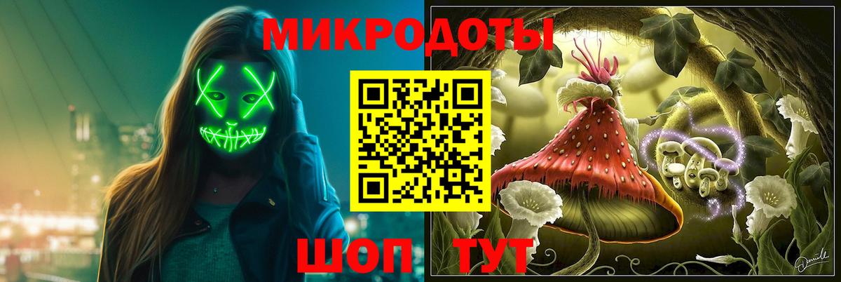 Псилоцибиновые грибы прущие грибы Луга
