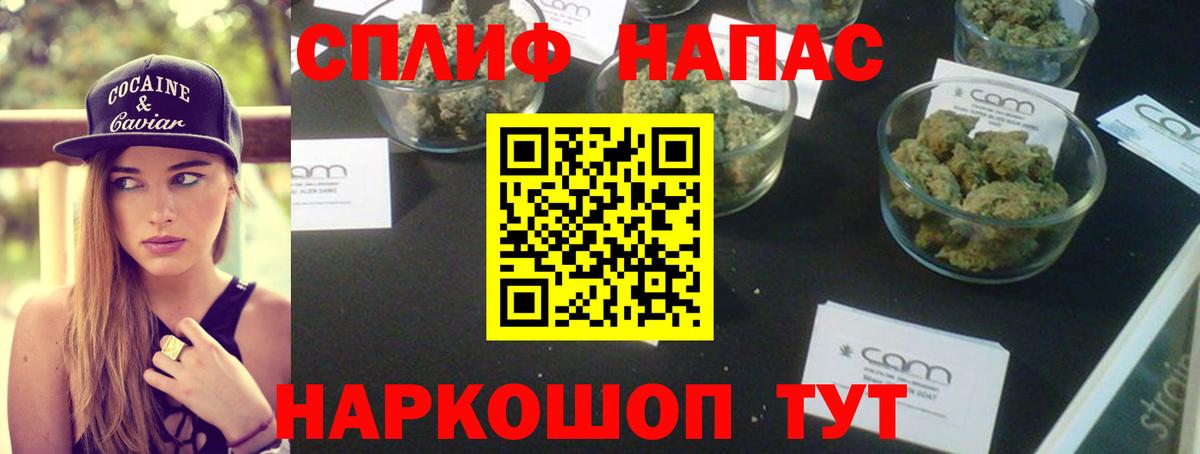 Марихуана сатива Луга